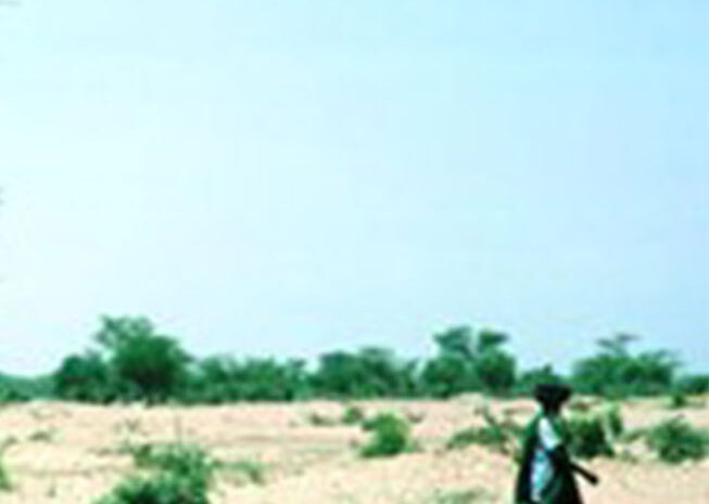  Princess Haya co-hosts the Drylands Challenges Meeting in Dubai