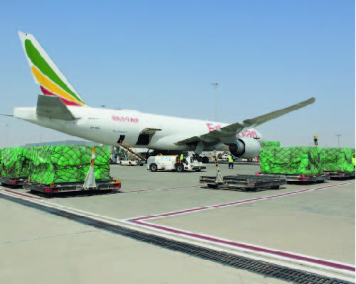  UAE supports WFP airlift life-saving relief to people affected by food insecurity in Central African Republic (CAR)